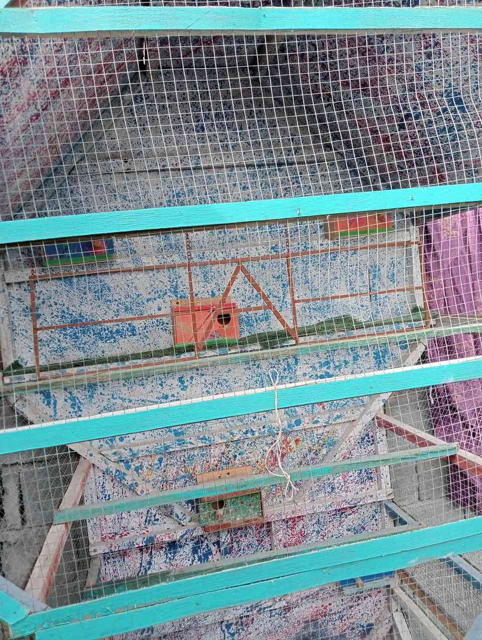 قفص للبيع السعر 65
الحصوه


**إذا كنت صاحب هذا الإعلان وتريد حذفه لأي سبب، رجاءا أرسل رسالة إلى الدعم الفني**