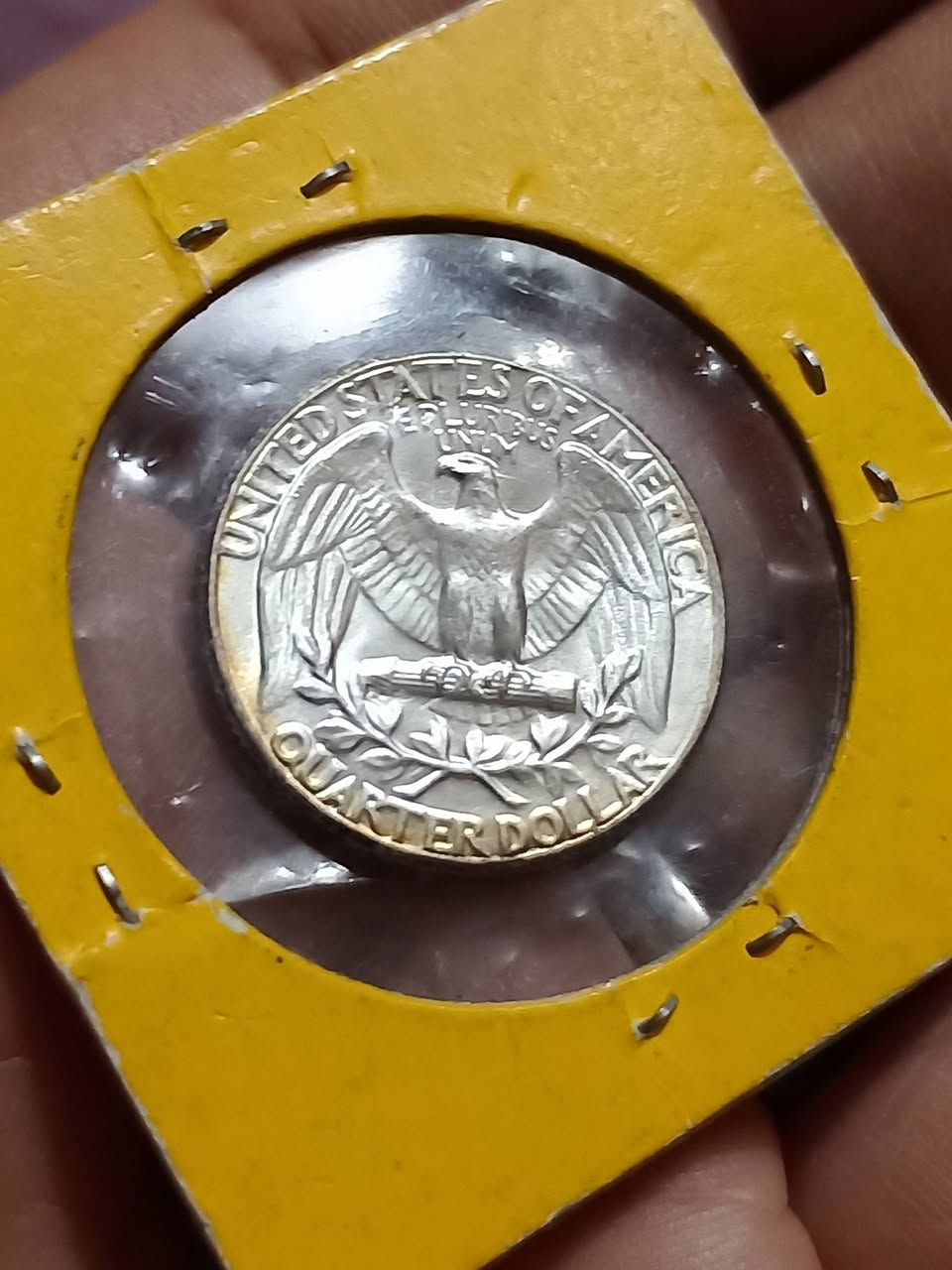 كلهن فضة ابيع (مفرد او جملة) كلهن حدد الي يعجبنك وراسلني بس راح اجاوبكم بالليل لان بالنهار مشغول


**إذا كنت صاحب هذا الإعلان وتريد حذفه لأي سبب، رجاءا أرسل رسالة إلى الدعم الفني**