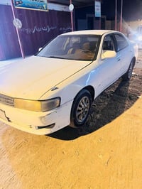 كرسته • مكفوله • نقل جثه