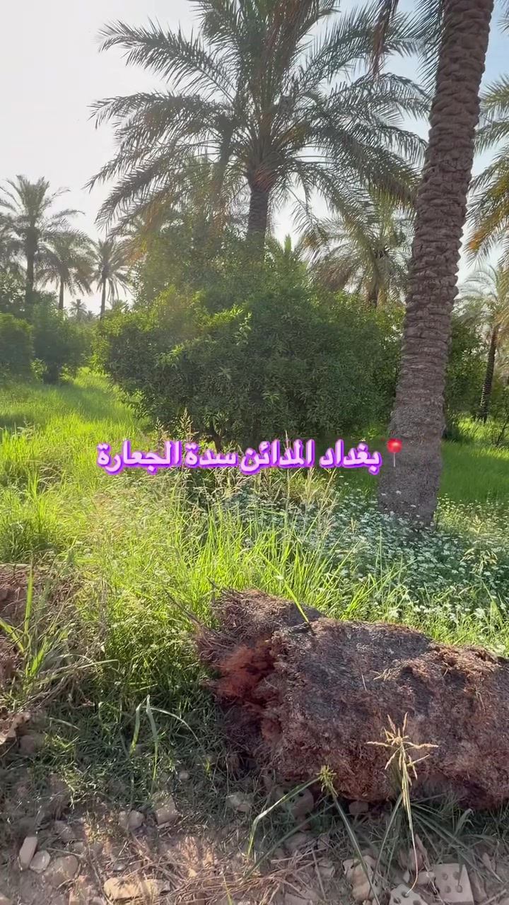 #يغداد #المدائن #سلمان_باك #بلديات #عبيدي #اللج #العراق #المنصور #مستثمرين #العبيدي #البلديات #سلمان_باك


**إذا كنت صاحب هذا الإعلان وتريد حذفه لأي سبب، رجاءا أرسل رسالة إلى الدعم الفني**