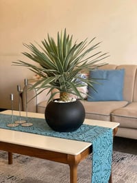 حي الصدر • ٣٠٠م • بناء قديم