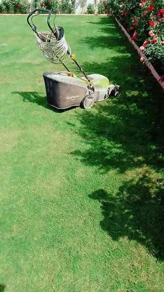 زرع حدائق + أدامه شهريه+ زرع اشجار + تقليم الأشجار +قص ثيل 

تنظيف وترتيب الحدائق + قلب وتنظيف تربه ترتيب +

تبديل تربه + ترتيب سياج الحدائق بل الملون 

ترتيب اطارات الحدائق بل حصو الملون الاستفسار 

واتساب ***********
