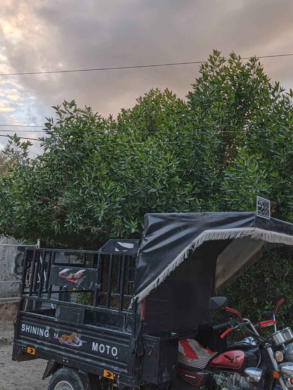 السلام عليكم
متوفر : محجر ستوته كامل

المكان : بغداد العامريه 

السعر : 200 وبي مجال 

رقم الهاتف : [***********]
