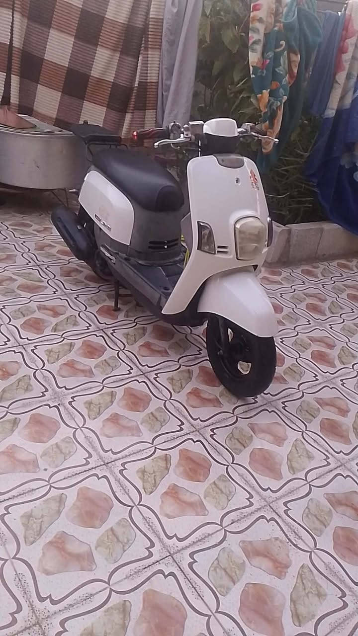 سلام عليكم دراجه بوليسي للبيع
محرك ما مفتوح هاذه رقم راعيه ***********
