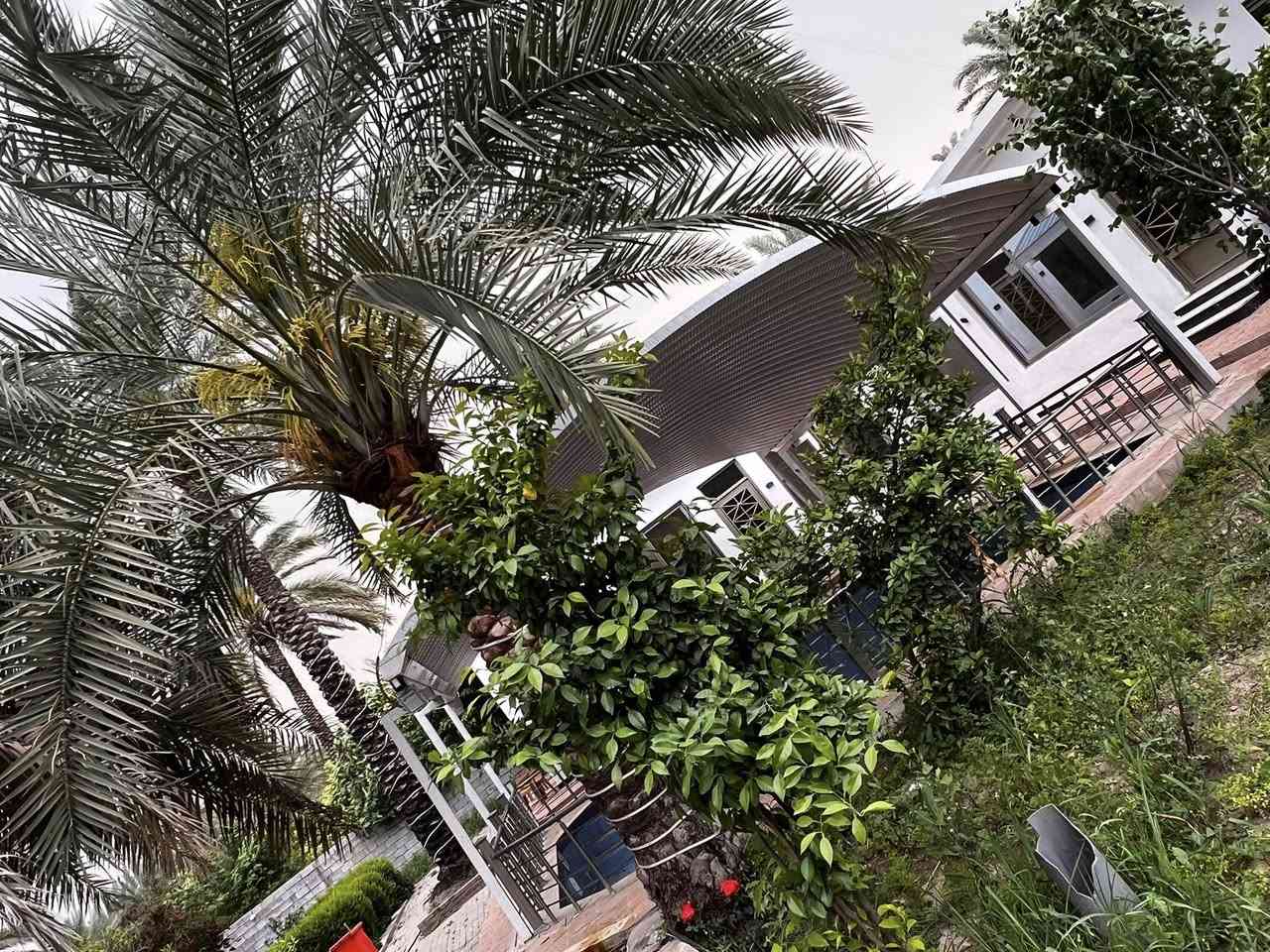 متوفره مزرعة الراشديه للأيجار اليومي ***********
