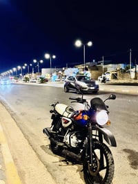 بوكسر هندي • موديل ٢٠٢٢ • مرقم ميسان