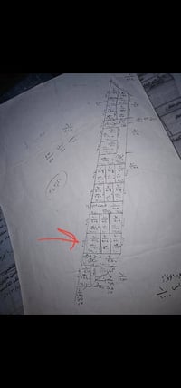 توزيعة المحكمة التقية • شارع عام ٢٠م • ٣٤١م