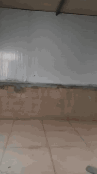 من رخصة مدير الكروب المحترم عندي سندويج +الحديد الهيكل غرفتين اومطبخ  ...