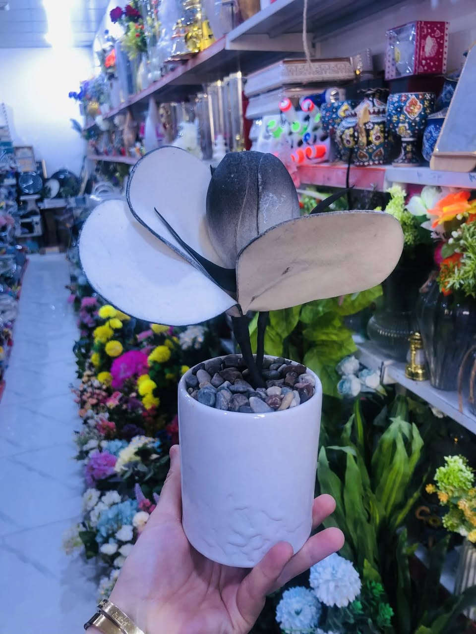 گوڵی دەستکرد وا جوان نەبێ مەیکڕە هەڵبژێره 3هەزار
بە باشترین کوالیتی دروستکراوە هەموو تەڵەب خاس و دەستکرد تایبەت خۆمانن
زیاد لە 100مۆدل به ئینجانەوە گوڵ بەرد ناویەوە
ئێستا بەردەستە خوار هەموو جوملە 3هەزار‌
گەورەترین هەزار سەنتەری سەیدسادق 
ناونیشان سەیدسادق نزیک پردی قەرزاران یان نزیک مزگەوتی ئەبوبەکری سدیق


**إذا كنت صاحب هذا الإعلان وتريد حذفه لأي سبب، رجاءا أرسل رسالة إلى الدعم الفني**