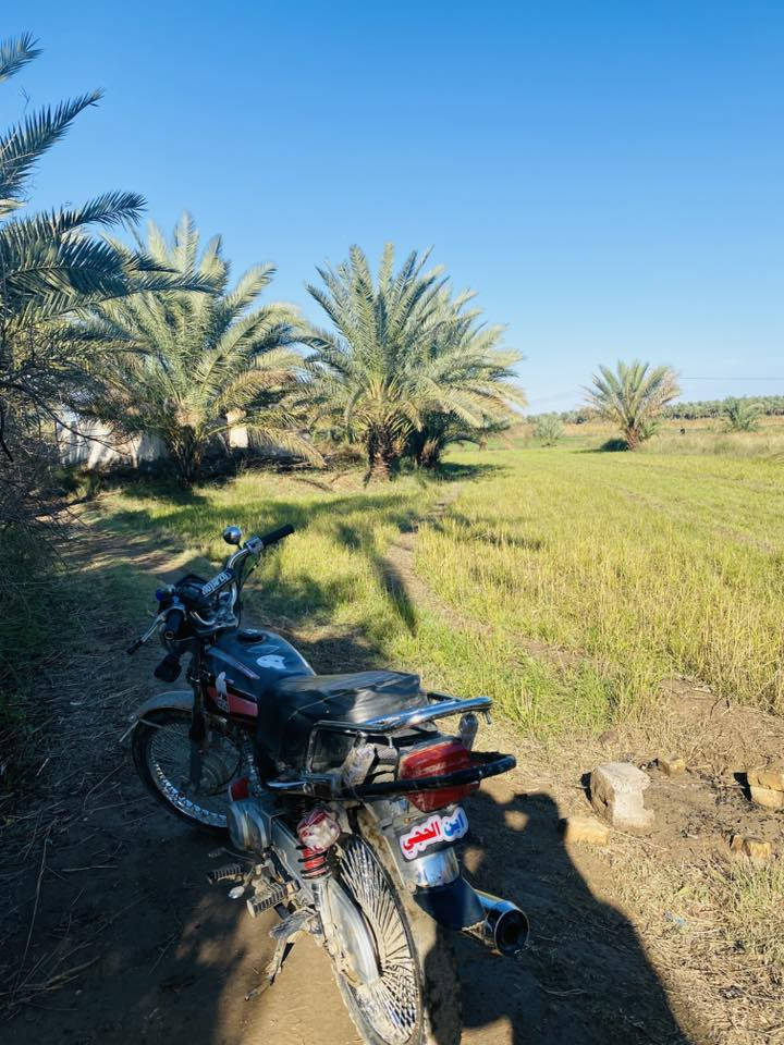 سلام عليكم للبيع دراجه تايكر موديل 19دراجه نظيفه وخير من الله المكان تقاطع القدس الحديد السعر 375
رقمي***********
