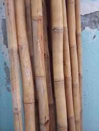 خيزران • ٤م • مكاني كوت