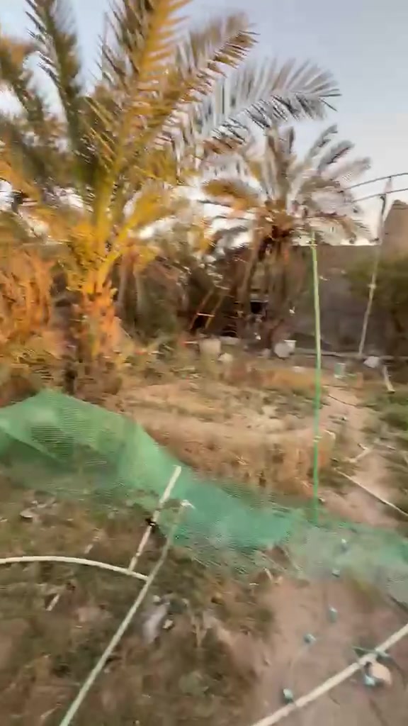٣بيوت مساحه ٥٠٠ متر طابو زراعي جميع تفصل دخل فيديو تصل ***********
