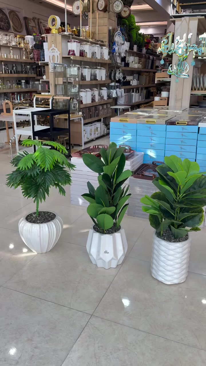 لا تشيلين هم السقي والعناية، جبنالج أرقى السنادين الاصطناعية اللي تعطي طاقة إيجابية للمكان.
✅ القاعدة: فرفوري أصلي وبألوان عصرية (أبيض، مرمر، ذهبي).
✅ الأحجام: تشكيلة واسعة تناسب الميز، الرف، أو زوايا الصالة الكبيرة.
الـعـنـوان : حـي الـحـسـيـن _ شـارع حـسـيـنـيـة الـحـجـاري _قـرب مـاركـت الـخـطـيـب 😇
واتـسـاب : *********** 😍
يـتـوفـر تـوصـيـل لـجـمـيـع الـمـحـافـظـات 🤩

#ديكور #ديكورات_داخلية #سنادين #نباتات_زينة #نباتات_اصطناعية #فرفوري #تنسيق_حدائق #ديكور_عراقي #بغداد #اربيل #البصرة #تجهيزات_منزلية #لمسات_فنية #HomeDecor #InteriorDesign #Iraq
