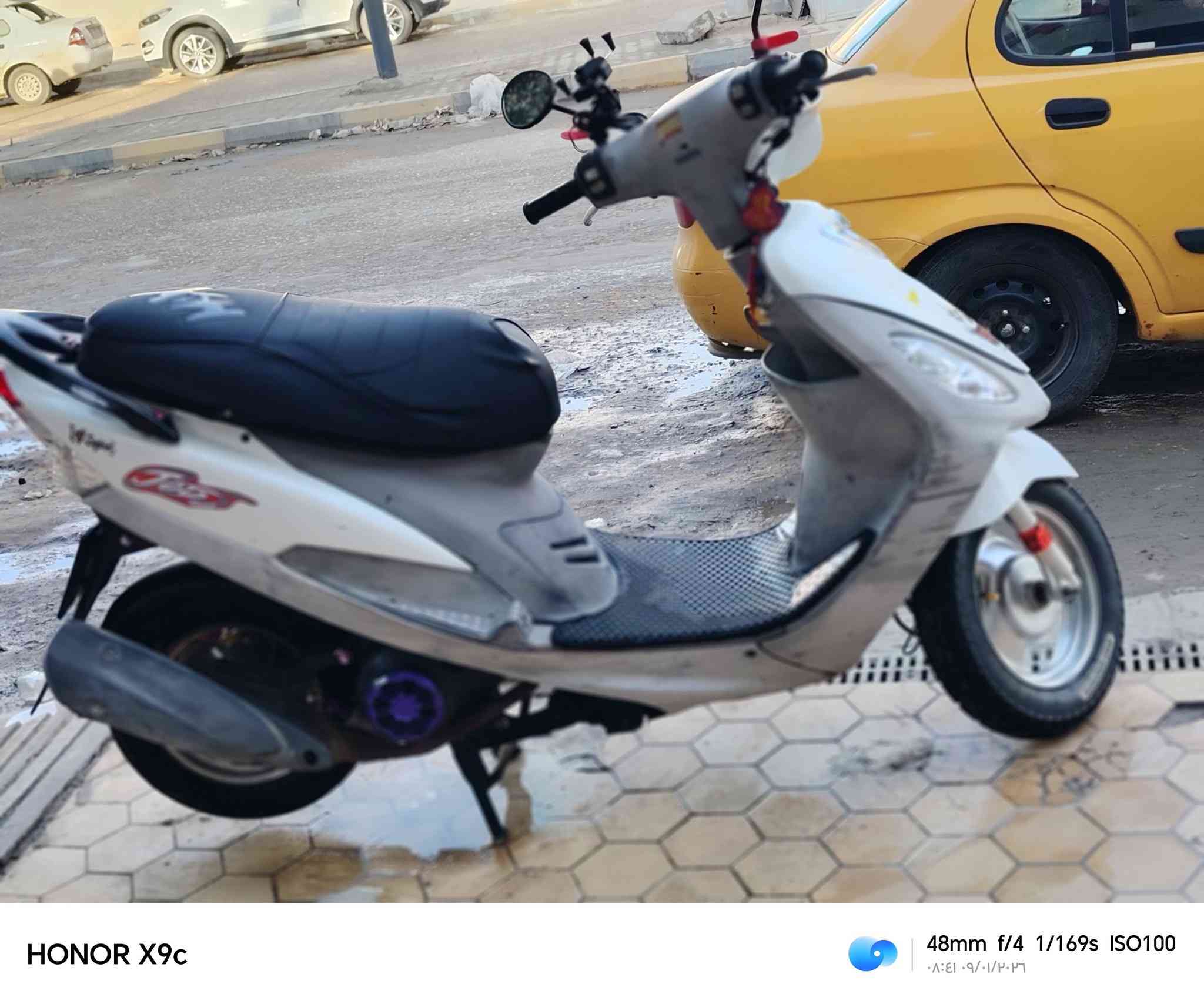 البيع ماكس مغولي كفاله عامه سعره رقمي ***********
