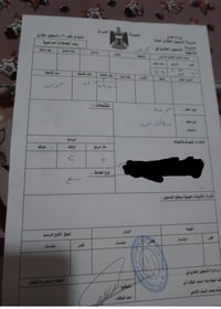 كربلاء الجزيره • حي التربيه • ٥٠م