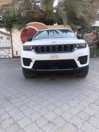 لاريكو • ٢٠٢٤ • تخريب