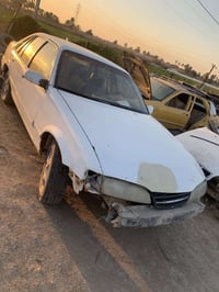 تفصيخ برنس • فرشة • بابل مشروع مسيب