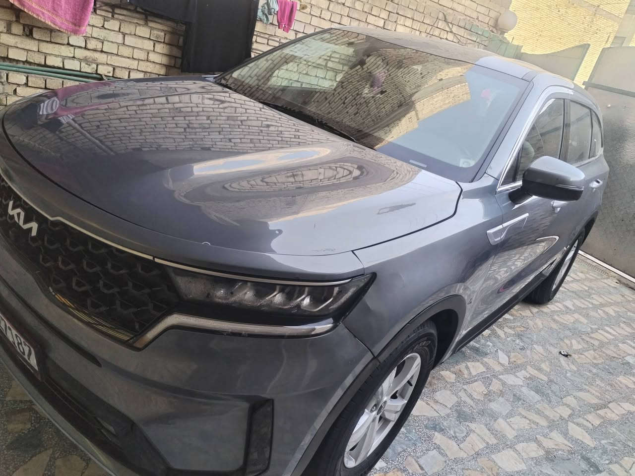 السلام عليكم
سورنتو 2023

2500 GTIاربعة سلندر

٧ اراكب

رقم بغداد بأسمي 

لون سمنتي

ماشية43 (ميل )

حادث السيارة جاملغ أمامي فقط

كما موضح بالصور 

مواصفات السيارة؛

سويج موبصمه

قطعتين تبريد 

جام اوتو ٤ جامات 

مداخل شحن يو اس بي

كشنات تدفئة 

حساسات امامي خلفي

كامرة خلفية 

رادار امامي خلفي 

 

توقف ذاتي للطوارء 

اوتو هولد 

تثبيت مسار + تحديد مسار 

هزاز بريك ستيرن كشن للرادار 

شاشة عطلات 

شاشة جبيرة 

تحكمات ستيرن كاملة 

رادار مثبت سرعة 

اوتو كار بلي 

ابل كار بلي 

وبعد هواي مواصفات  بيها 

سعر السيارة225 وبيها مجال
بيع او مراوس

مكان السياره بغداد حي الرئاسه

***********
