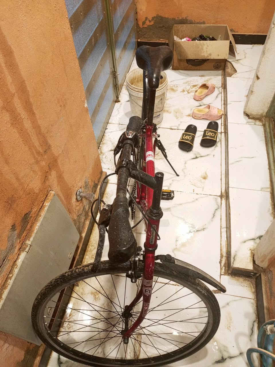 سلام عليكم بيسكل جديد والله صارلي سبوع من اخذته بس اريد اشتري دراجه وجاي ابيعه بيسكل جديد 6 نمر حجم 27 سعر 110 وبي مجال بسيط العنوان بغداد ابو دشير رقم الهاتف بي وتساب ***********
