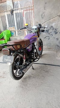 سونك 2025 • بدون أوراق • بابل الحمزه الغربي