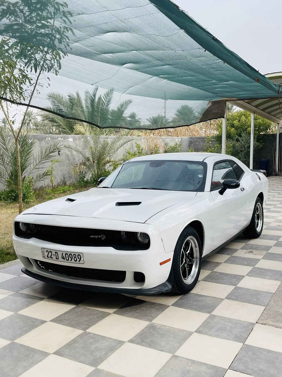 جالنجر 2016
محرك 3.6 تو ويل شاشه جبيره 

كير محرك كفاله ماشيه ٨٠ الف ميل 

صور الحدث مرفقه السياره بدون شاصي ولغد جكه ما بيهن 

بدون صبغ السياره تبديل جاملغ وبنيد اصلي  الدعاميه الخلفيه نفسها راجعه فقط مفتوحه راجعه السياره وكاله

الدشبول مبدل كامل هوه ولسستم مال ايرباكات 

العدادات ولا اي شي مشتغل بيها لا سيرفس ولا ضوه الايرباك 

حداديه امامي خلفي بشرط كارتون 

كشرها جدا ممتاز لا بارد ولا شخوط حيل نضيف 

الوياله وتايرات البارحه بدلتهن باتري جديد هم بدلت 

ما بيها مصرف ربع دينار حته طستها ناعمه كلش 

السعر ١٥٨ وبيها مجال 

مكاني بابل سياحي 

***********

متواجد واتساب
