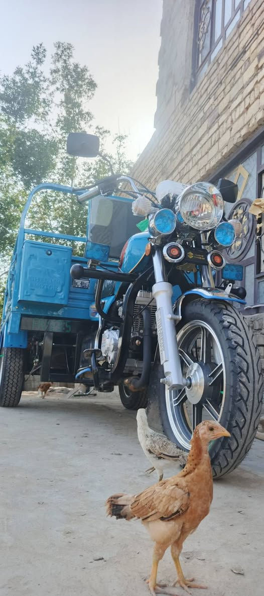 سلام عليكم ستوته للبيع اوراق اصولي وكيله نوار بعده زيروو صارله سبوعين من طالعه كفاله من كلشي مستعجل عليه لاستفسار خاص او تصل ***********
