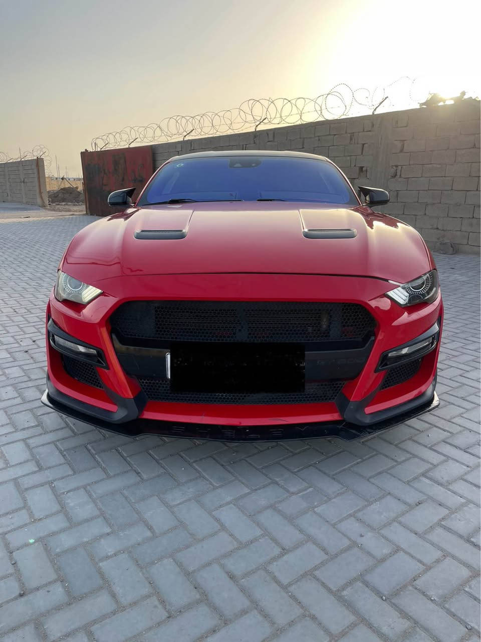 سلام عليكم موستنك 2021 
اللون احمر ناري مميز
رقم بغداد تحويل ثاني يوم 
موصفات السيارة :
كشنات جلد شفتات ستيرن 
انضمه قيادة 
تحكم ستيرن عام
دخول ذاتي 
ترحيب مميز
محرك ايكو بوست 
السيارة كلشي عليها جديد كت كامل شيلبي من (أ_ي) حادثها بنيد وجاملق الشاصي بيه تعديل شويه 
ابيع الك 4 قطع صبغ لأن بيها تطابق الوان السعر 145 وبيها مجال بسيط 
مكاني بصرة ابي الخصيب رقمي *********** 
                                             *********** البصرة, العراق
