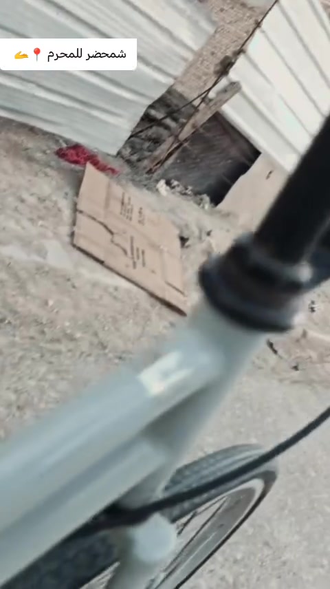 بايسكل للبيع نضيف مال حاويه شركه هافن موديل 2019 سعر 120 وبي مجال


**إذا كنت صاحب هذا الإعلان وتريد حذفه لأي سبب، رجاءا أرسل رسالة إلى الدعم الفني**
