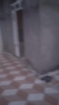 شارع ٨٠ كربلة • ٢٨٠م • غرفتين