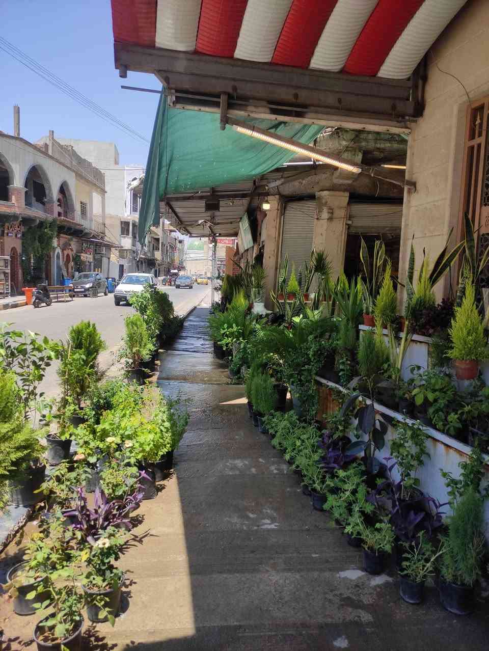 السلام عليكم اعزائي ) تم وصول نباتات شمسيه وظليه في مشتل ابو علي
العنوان موصل الجانب الايمن سوق السرجخانه قرب التمثال مال عامل النظافه
للاستفسار او الحجز مراجعه الصفحه او الاتصال على الرقم
***********
