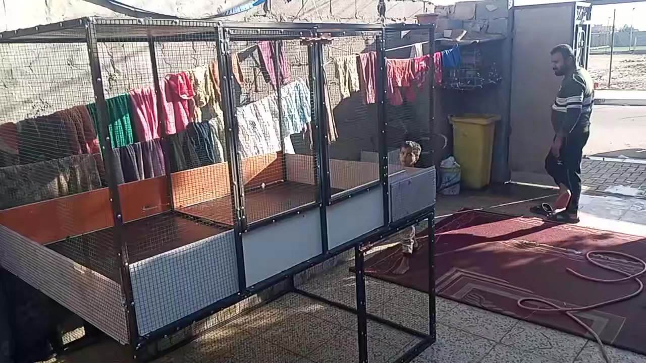 كلشي اشتغل حسب الطلب وبسعر مناسب بصره قبله


**إذا كنت صاحب هذا الإعلان وتريد حذفه لأي سبب، رجاءا أرسل رسالة إلى الدعم الفني**