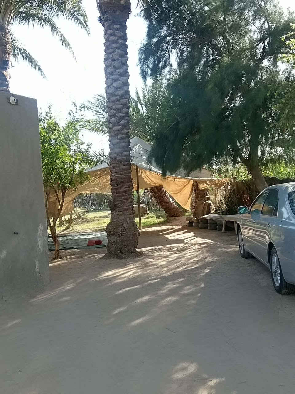 السلام عليكم ارض طابو زراعي سند25 لبيع 3دونم وبيهه بيت
كافه الخدمات متوفره نهر بصفهه شارع ٨ متر
مزروعه اشجار وحمضيات ونخل بيهه
العنوان طريق كربلاء نجف عمود 258 وتنزل قرب طريق العلماء 
ايي استفسار اكثر 
***********
