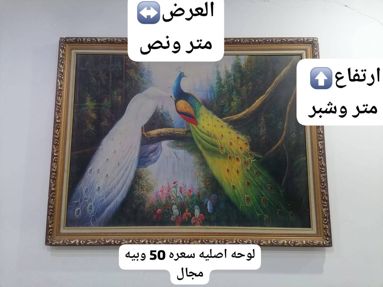 للبيع


**إذا كنت صاحب هذا الإعلان وتريد حذفه لأي سبب، رجاءا أرسل رسالة إلى الدعم الفني**