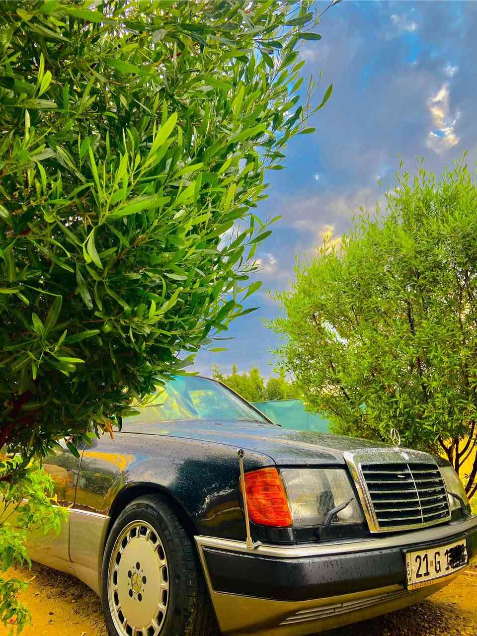 سلام عليكم شباب..ما شاء الله 🇩🇪⚡️
مارسدس دب 1992 (W124) .وارد ياباني💯

رقم سليمانيه دولي بسمي 

لون مميز☑️

محرك(VVt-i)شلعه و معدل كير اوتوماتك كفاله عامه

نصبه  واحد على واحد تخبل نصبتها بشارع🚫

السيارة كفاله من كلشي شواصي و قواعد مكفوله 

عدا صبغ للجماليه  حداديه  شرط مكفول 
و تعرفون الوارد ياباني يجي مميز و كلشي بي بلادي نظيف💯
كل شي شغال كهربائيات كامل شغال بدون نقص

 سيارت مال جناي 

موصفات-

كشنات جلد
تطعيمات صاج
اربع 4 جام كهرباء 
مرايه كهرباء
بجمة بيبي شبح
سقف مخمل لون اسود
دبل هورن 
دبل مروحه هاي تجي (3 مراوح )
بيها تضليل نسبه 100/25
لايت زنون عالي ناصي 
ويل كروم حجم 16
تخم تاير جديد 
صدر امامي خلفي جديد
برده خلفيه🔺

اسف على الاطاله 

..السعر 83 وبيها مجال بسيط 

عنوان صلاح الدين قضاء العلم

***********

***********

