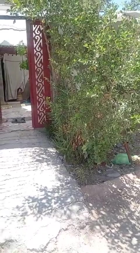 الاستفسار عله رقم  0781313242


**إذا كنت صاحب هذا الإعلان وتريد حذفه لأي سبب، رجاءا أرسل رسالة إلى الدعم الفني**
