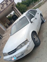 برنس فراشة • رقم بابل • بدون ضربة