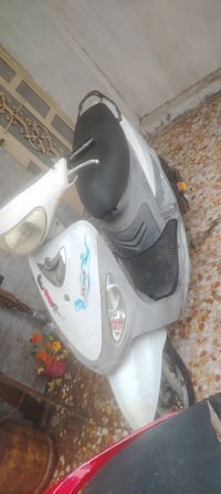 ماكس منغولي • كلشي شغال • بلدية