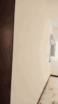 صباغ وطلاس وترميم بيوت بسعار مناسبه بصره ***********
