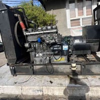 مولده للبيع 124 راس توليدها 300/ استفسار07807244855/07732539133