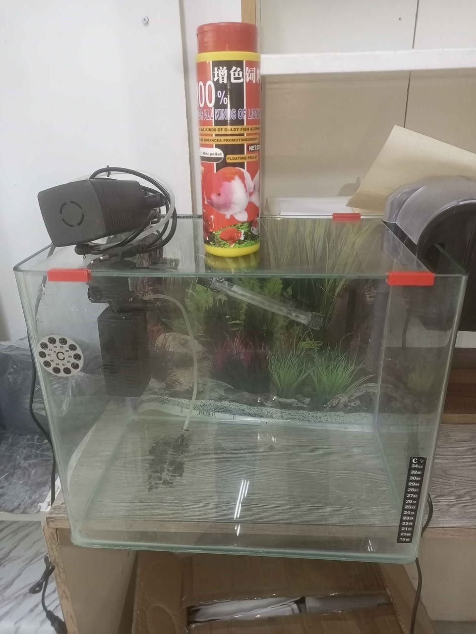 حوز مال سمج مع ثلاثة اكسجين و اكسجين شلال سعر 30 الف مع توصيل دهوك, العراق


**إذا كنت صاحب هذا الإعلان وتريد حذفه لأي سبب، رجاءا أرسل رسالة إلى الدعم الفني**