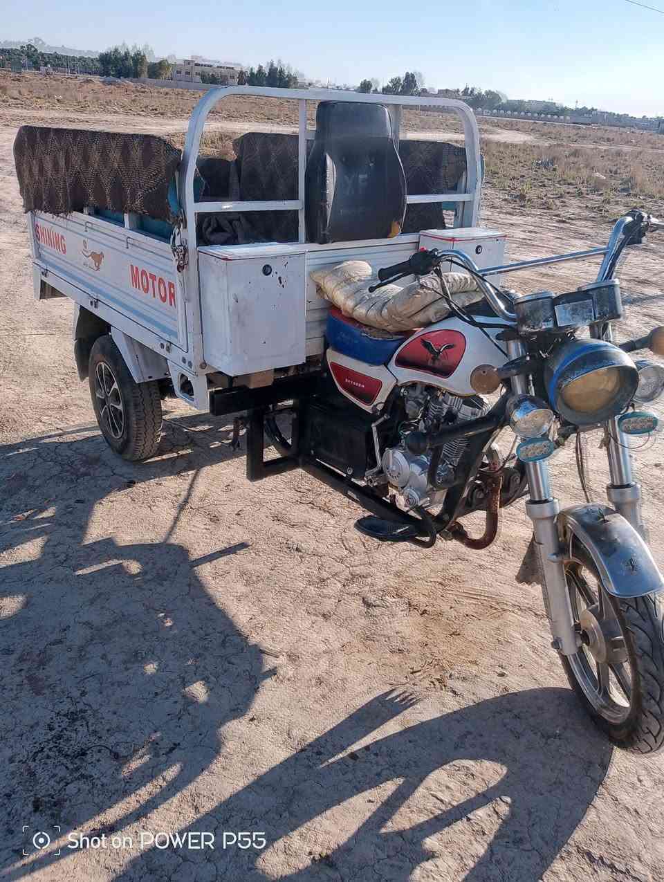 ستوتة للبيع ديالى دلي عباس 2023
‏‪***********‬‏
