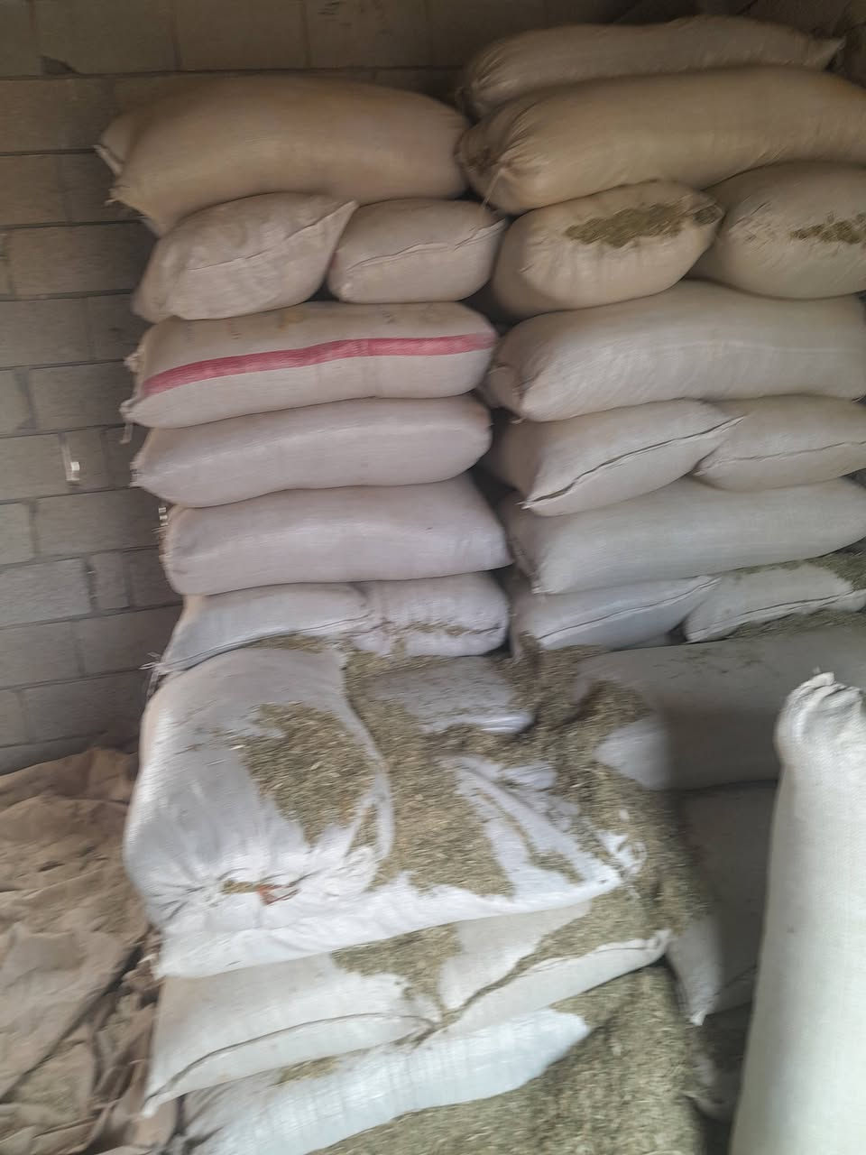 تبن جت درجه اولى كميه للاستفسار على الرقم*********** يوجد واتساب
