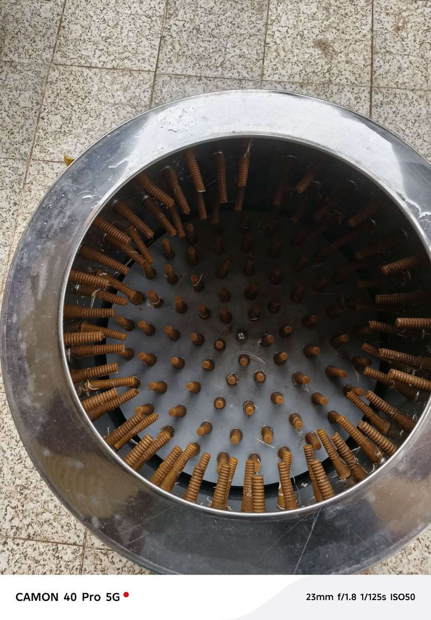 هلاسه ع الفحص استخدام اقل الشهر الاصلي النوعيه الاصلي العنوان ديوانيه شارع ستين يم جامع الحسين ع *********** السعر 200 الف
