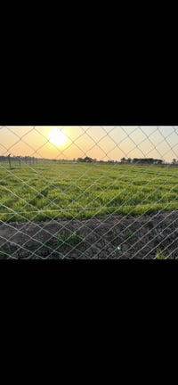 دوانم سكن • طريق حلة نجف • مزارع