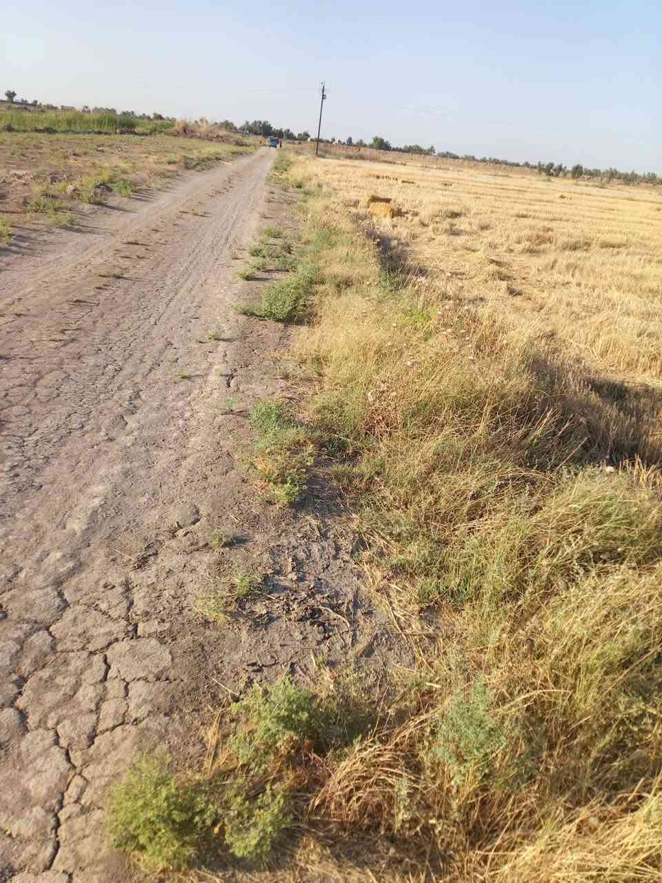 شركه بسم الله.
تتوفر دوانم بغداد ابي غريب قرب مركز شرطه عقرقوف منطقة زجالبه بسمي سند 25  
وعندي عقد 117 قرب مدرسة الأحساء سعر خاص  ومتوفر قطع زراعي سند25بسمي تقطيع حسب طلب الزبون بانسب الأسعار ديكورات بحدث تصاميم شتفسار أكثر اتصل..
***********

***********

