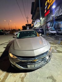 ماليبو LT • ٢٠٢٥ • بدون صبغ