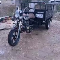 ستوته • نجف • موديل١٩