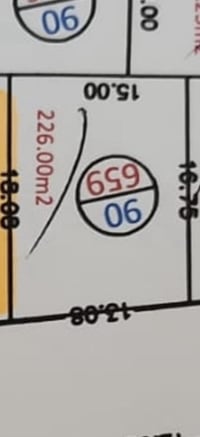 قوسيات • مجمع النخيل • ٢٢٦م