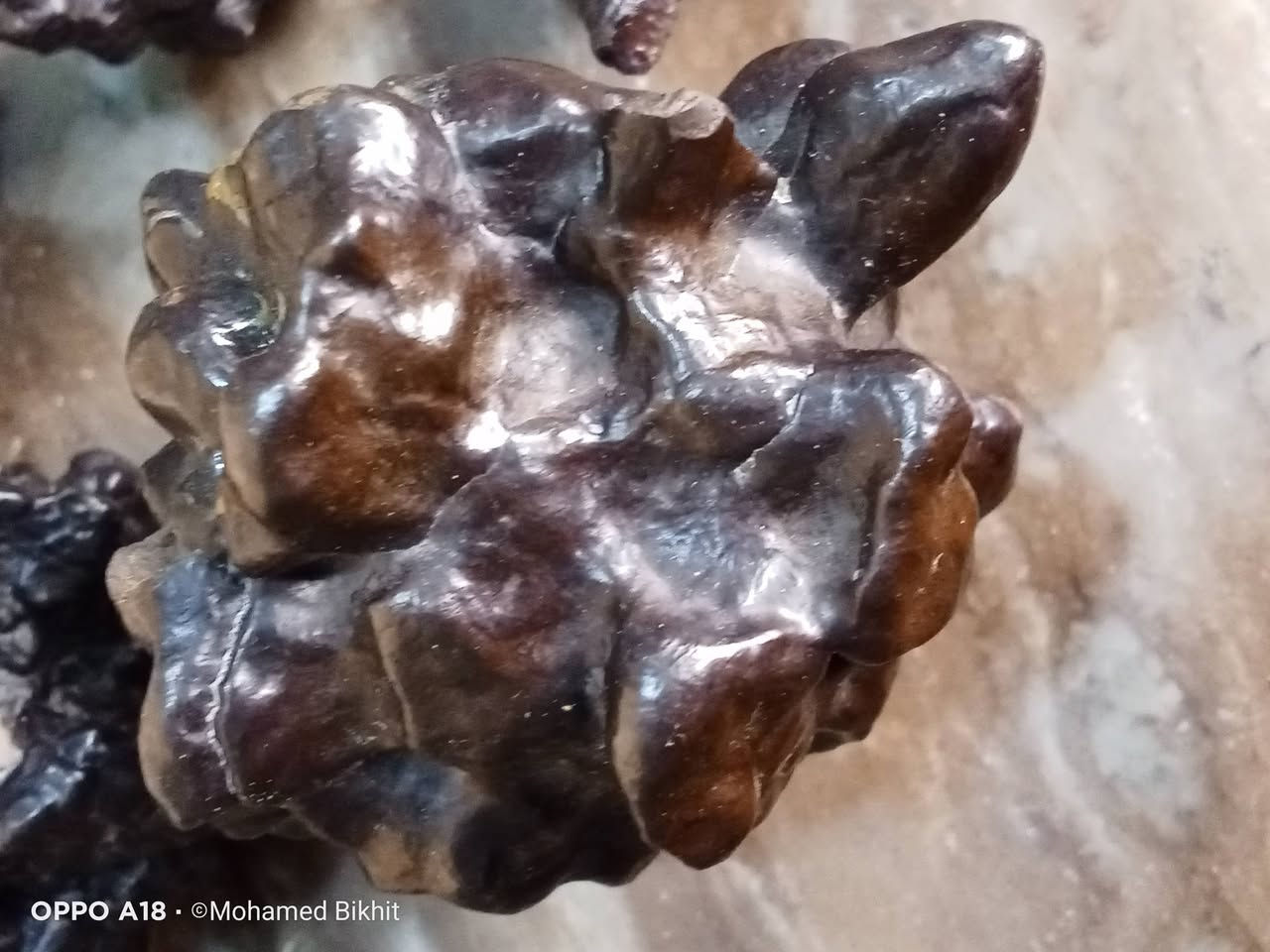 احجار نيزك الهيماتيت (Hematite)، وتحديداً النوع المعروف باسم " نيزك الهيماتيت الكلوي" (Botryoidal Hematite


**إذا كنت صاحب هذا الإعلان وتريد حذفه لأي سبب، رجاءا أرسل رسالة إلى الدعم الفني**