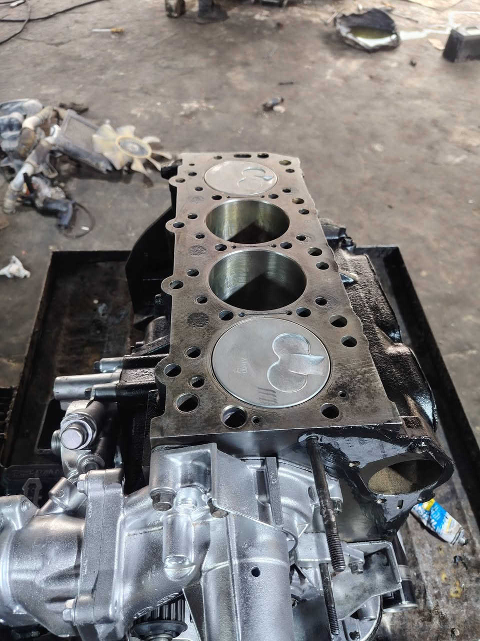 تم بفضل الله تعالى تجفيت ستار كس 2009 تجفيت عام غراض اصليه ضمان سنه بوش وبستم ورنك ويطغ تخم واشر تخم جبن تخم قوايش تخم رولات واتر بم صينية اكلج بوربرن اكلج صوندة دينمو ماء ودهن وفلتر دهن تجيك أربع اويالة وأربع راديترات من اللة توفيق خدمات محمد الشمري ديالى بعقويه تقاطع ساده *********** ***********
